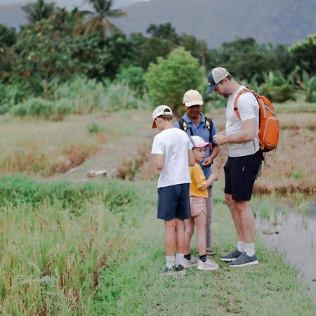 Ambow Homestay Jungle Trekking & Village Tour Bukit Lawang Eksteriør bilde