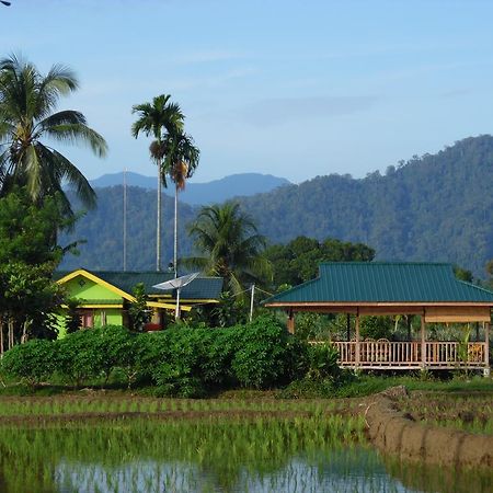Ambow Homestay Jungle Trekking & Village Tour Bukit Lawang Eksteriør bilde