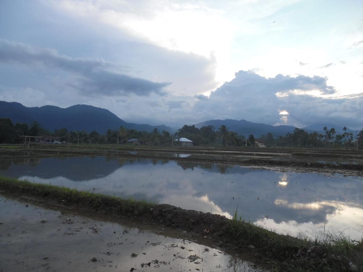 Ambow Homestay Jungle Trekking & Village Tour Bukit Lawang Eksteriør bilde