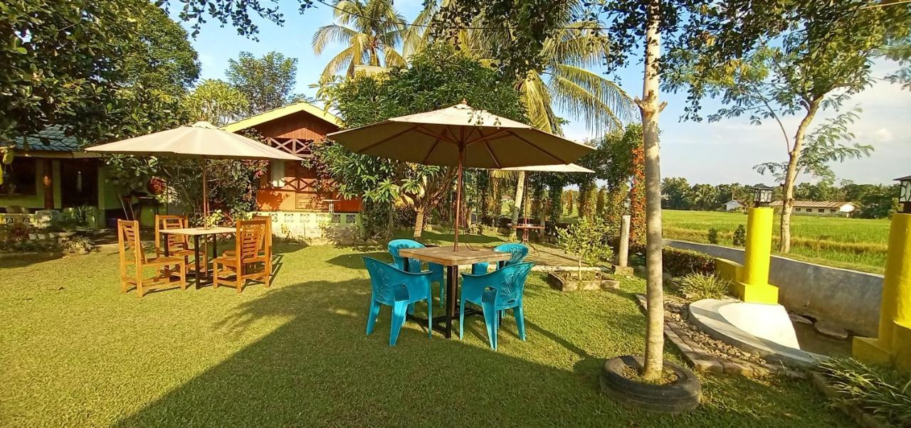 Ambow Homestay Jungle Trekking & Village Tour Bukit Lawang Eksteriør bilde
