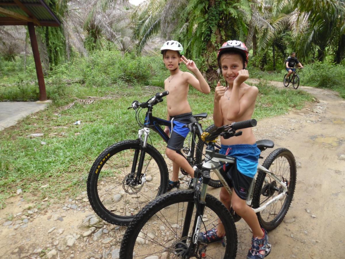 Ambow Homestay Jungle Trekking & Village Tour Bukit Lawang Eksteriør bilde