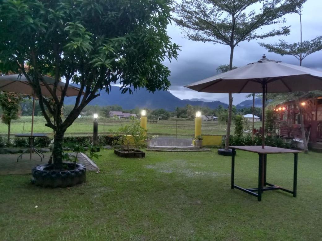 Ambow Homestay Jungle Trekking & Village Tour Bukit Lawang Eksteriør bilde