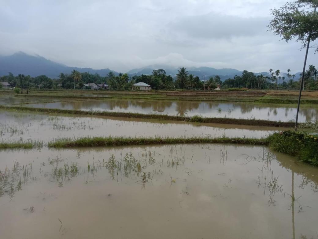 Ambow Homestay Jungle Trekking & Village Tour Bukit Lawang Eksteriør bilde