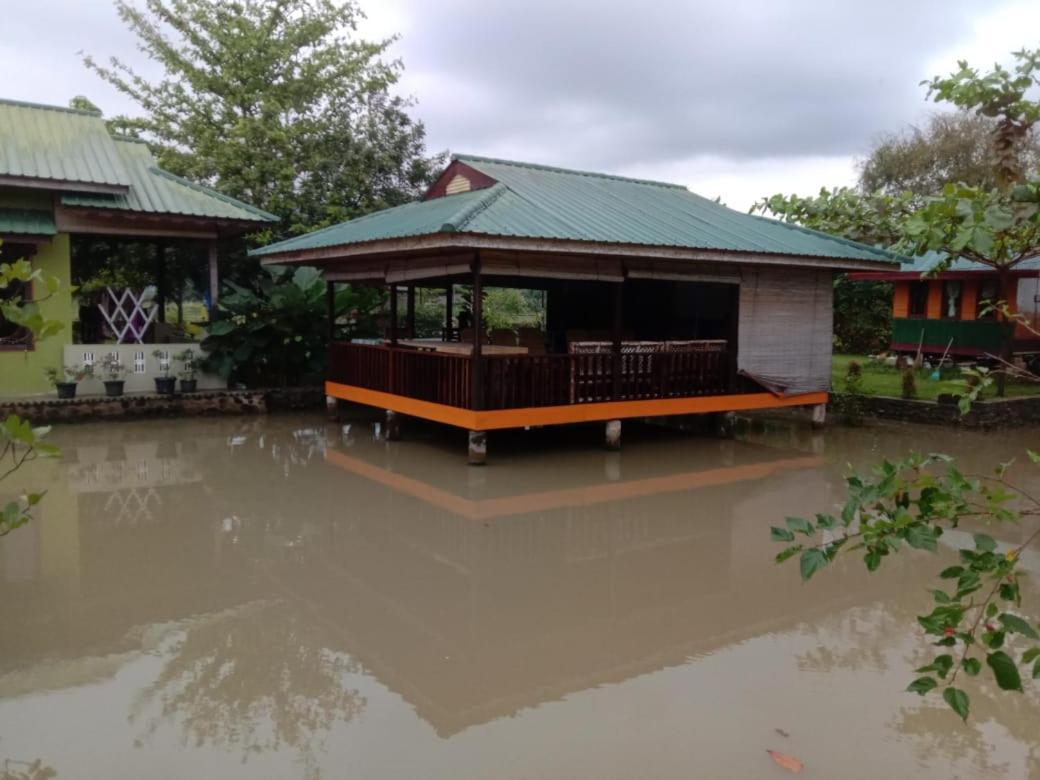 Ambow Homestay Jungle Trekking & Village Tour Bukit Lawang Eksteriør bilde