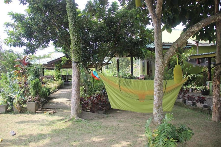 Ambow Homestay Jungle Trekking & Village Tour Bukit Lawang Eksteriør bilde