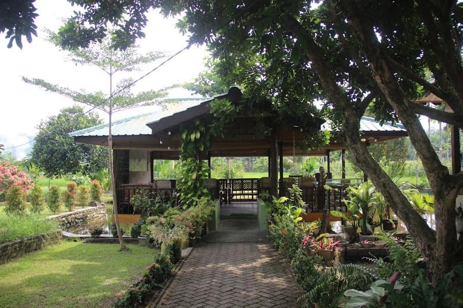 Ambow Homestay Jungle Trekking & Village Tour Bukit Lawang Eksteriør bilde