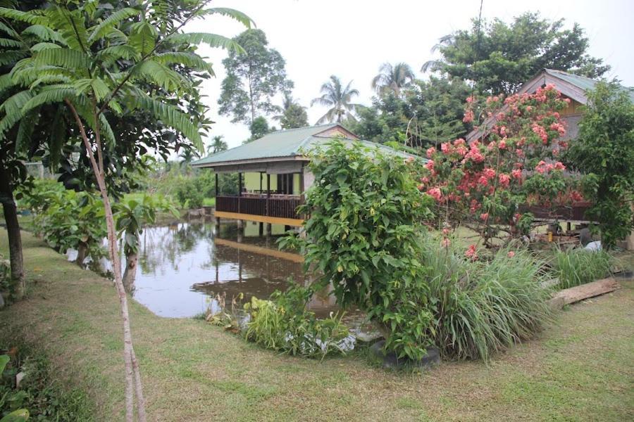 Ambow Homestay Jungle Trekking & Village Tour Bukit Lawang Eksteriør bilde