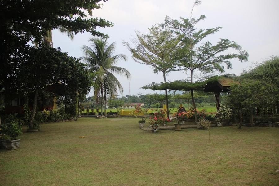 Ambow Homestay Jungle Trekking & Village Tour Bukit Lawang Eksteriør bilde