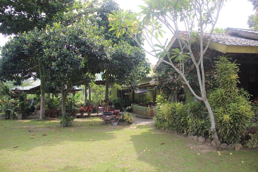 Ambow Homestay Jungle Trekking & Village Tour Bukit Lawang Eksteriør bilde