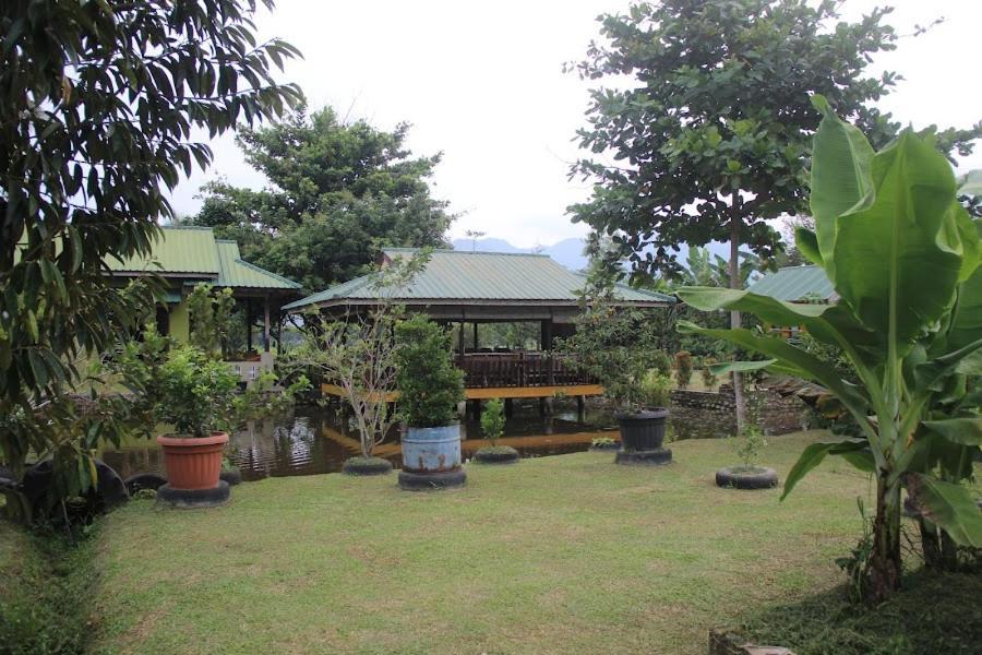 Ambow Homestay Jungle Trekking & Village Tour Bukit Lawang Eksteriør bilde