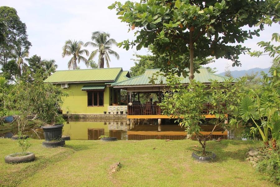 Ambow Homestay Jungle Trekking & Village Tour Bukit Lawang Eksteriør bilde