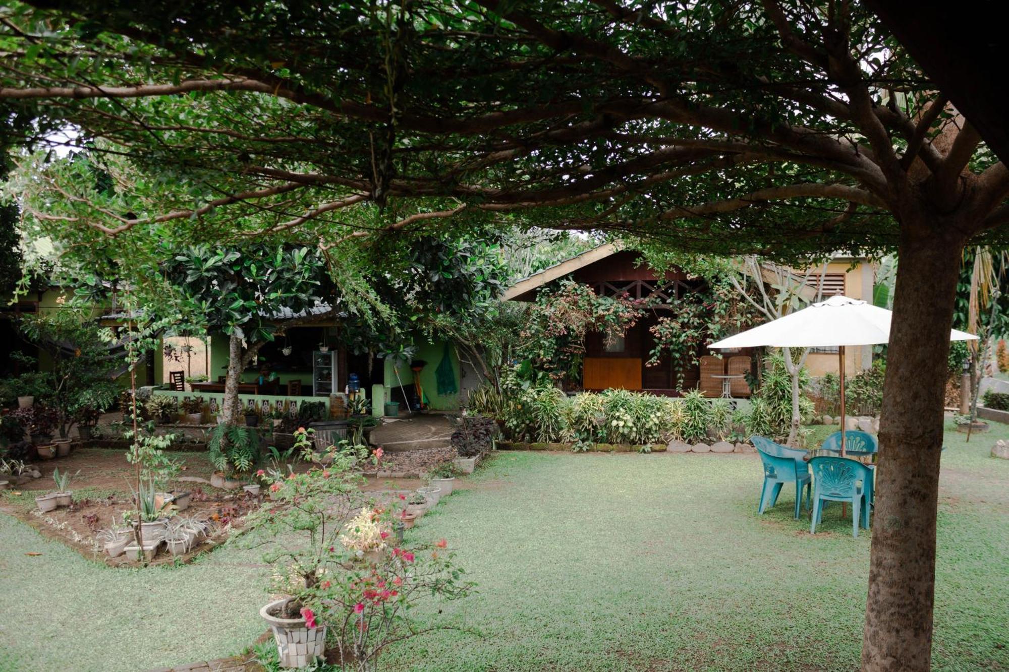 Ambow Homestay Jungle Trekking & Village Tour Bukit Lawang Eksteriør bilde
