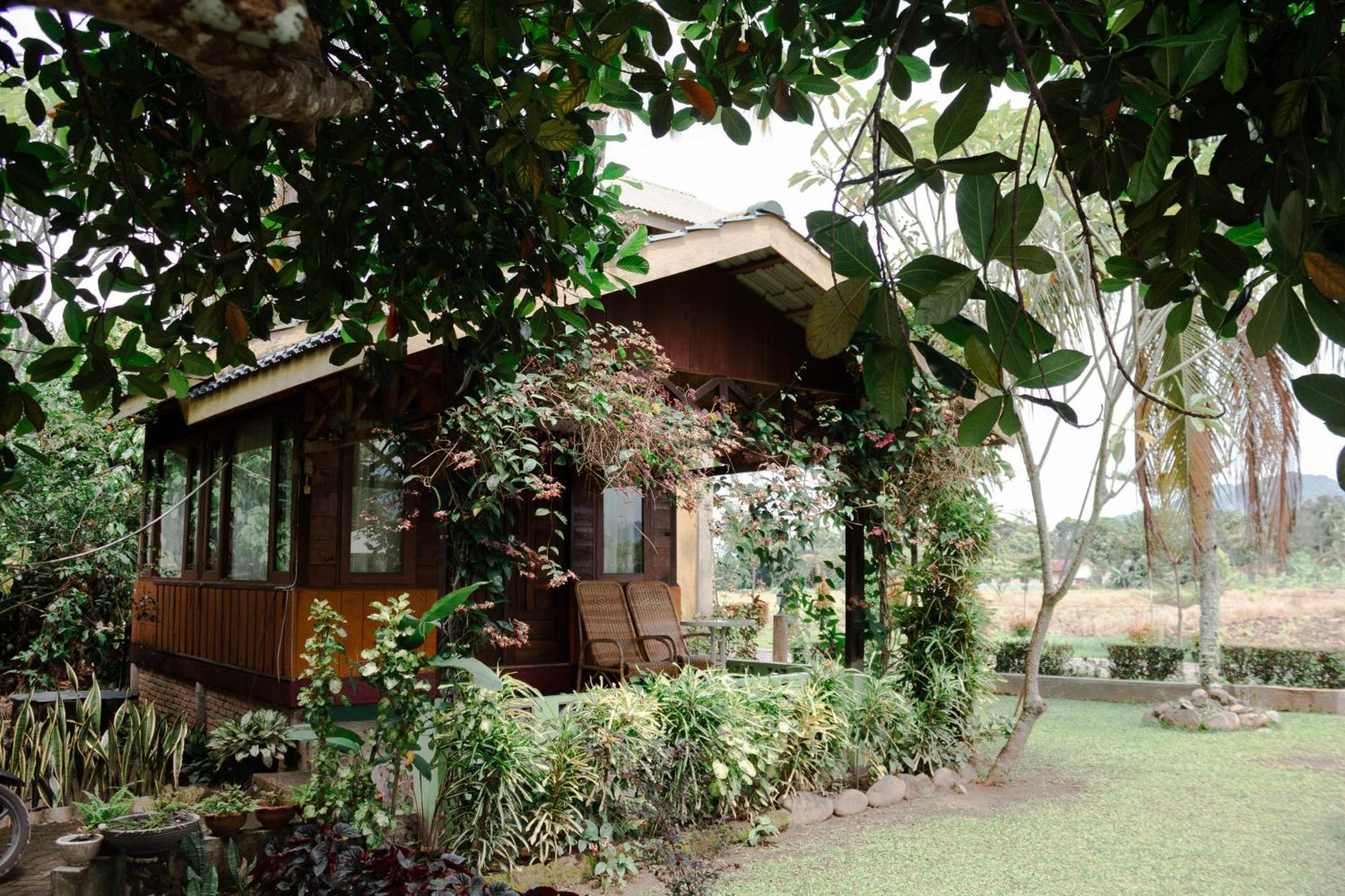 Ambow Homestay Jungle Trekking & Village Tour Bukit Lawang Eksteriør bilde