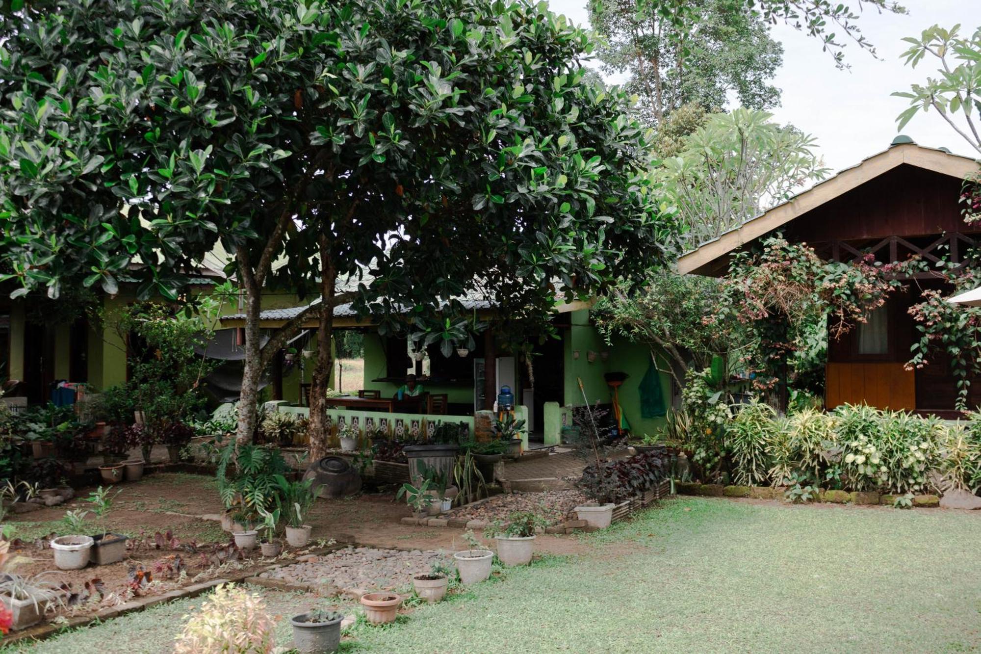 Ambow Homestay Jungle Trekking & Village Tour Bukit Lawang Eksteriør bilde