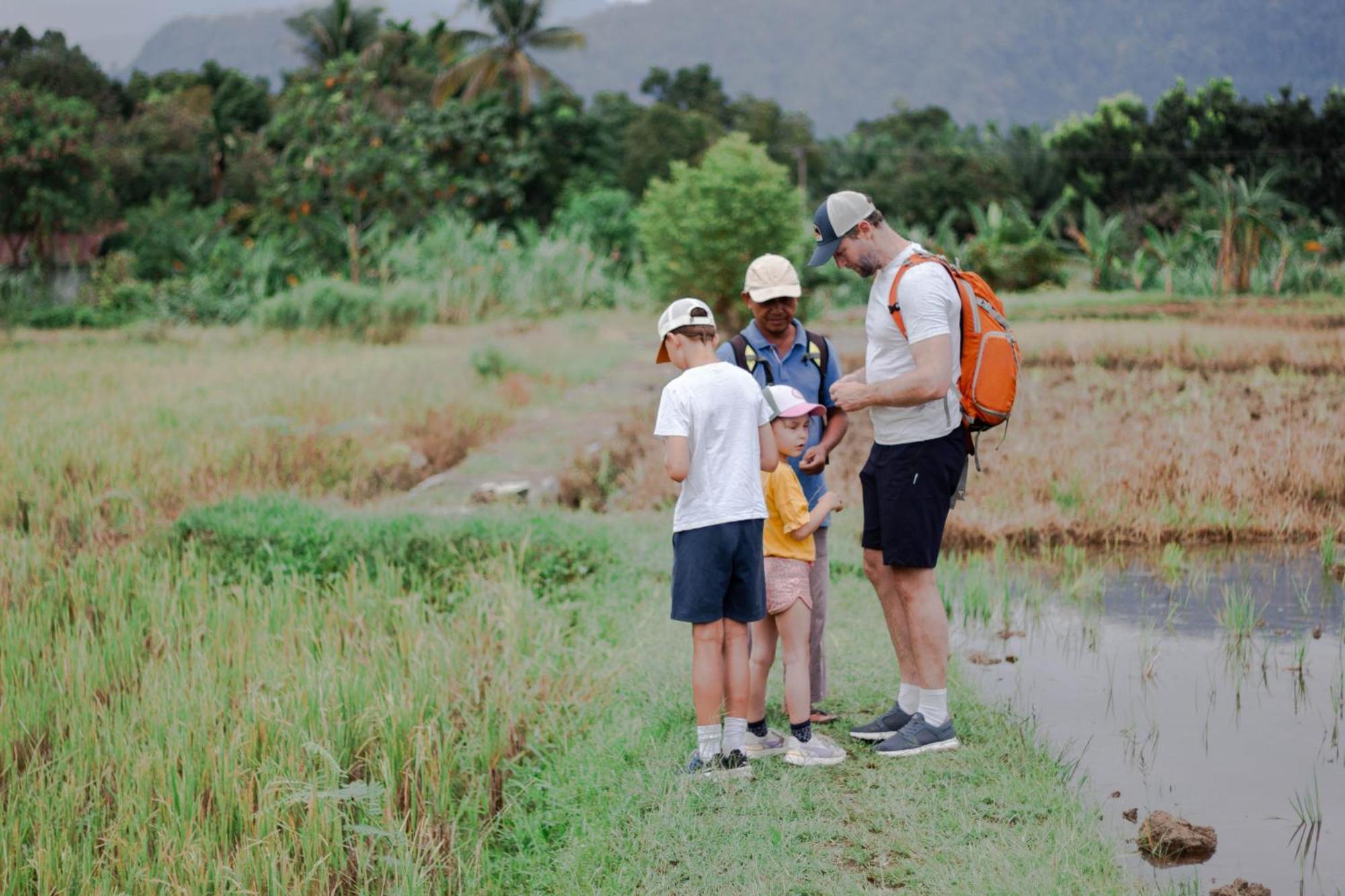 Ambow Homestay Jungle Trekking & Village Tour Bukit Lawang Eksteriør bilde