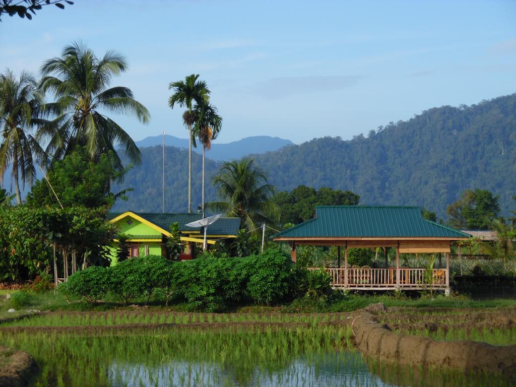 Ambow Homestay Jungle Trekking & Village Tour Bukit Lawang Eksteriør bilde