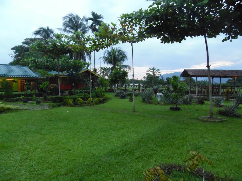 Ambow Homestay Jungle Trekking & Village Tour Bukit Lawang Eksteriør bilde