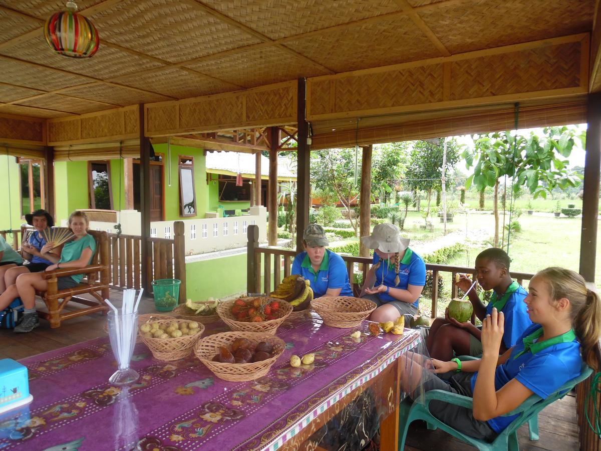 Ambow Homestay Jungle Trekking & Village Tour Bukit Lawang Eksteriør bilde