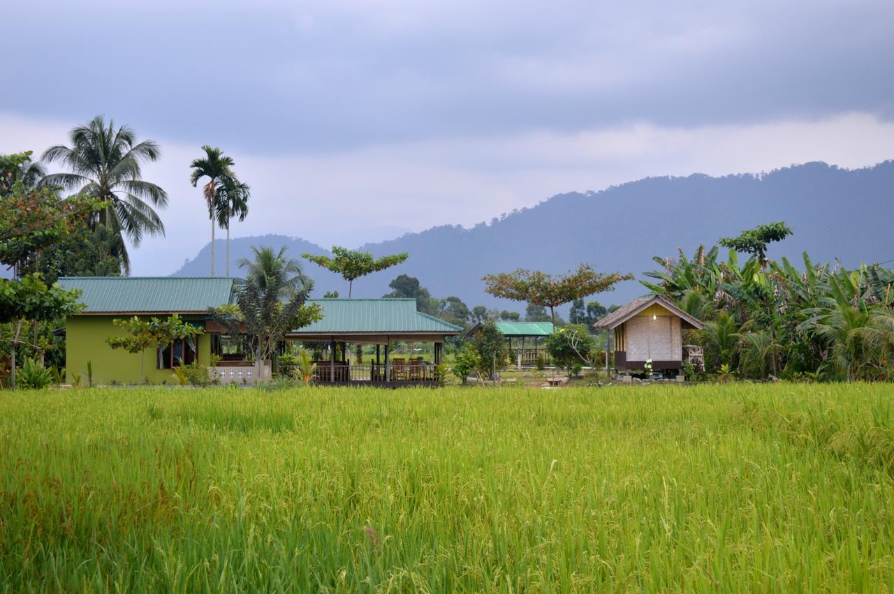 Ambow Homestay Jungle Trekking & Village Tour Bukit Lawang Eksteriør bilde