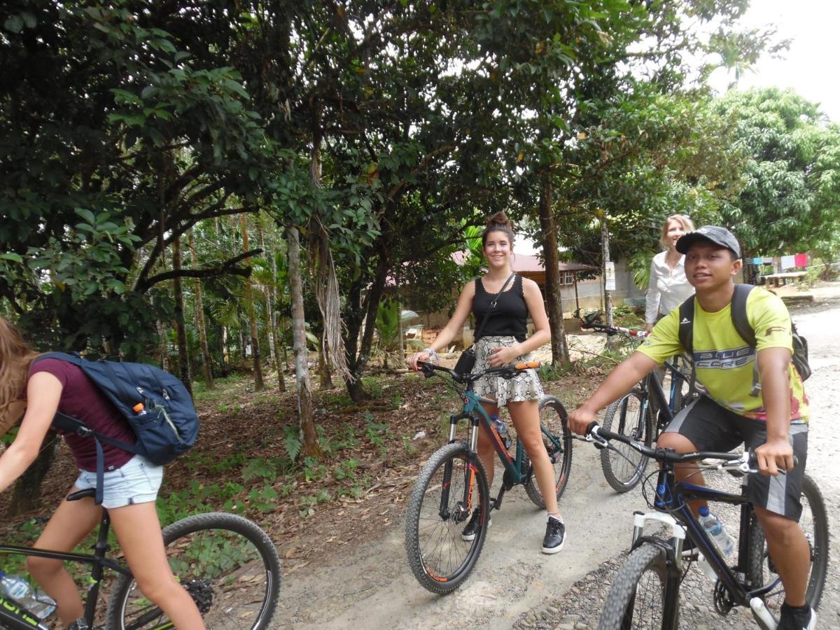 Ambow Homestay Jungle Trekking & Village Tour Bukit Lawang Eksteriør bilde