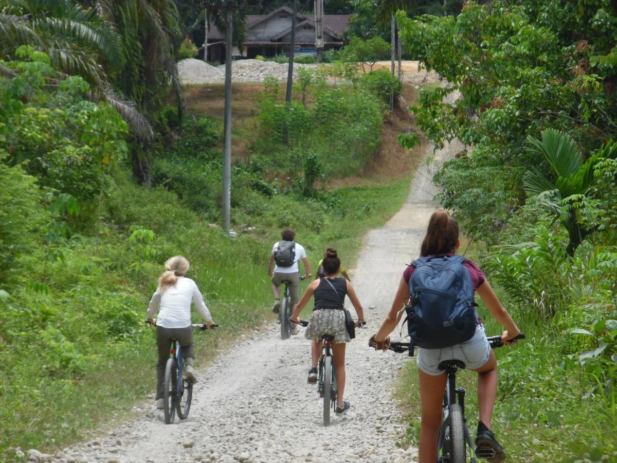 Ambow Homestay Jungle Trekking & Village Tour Bukit Lawang Eksteriør bilde
