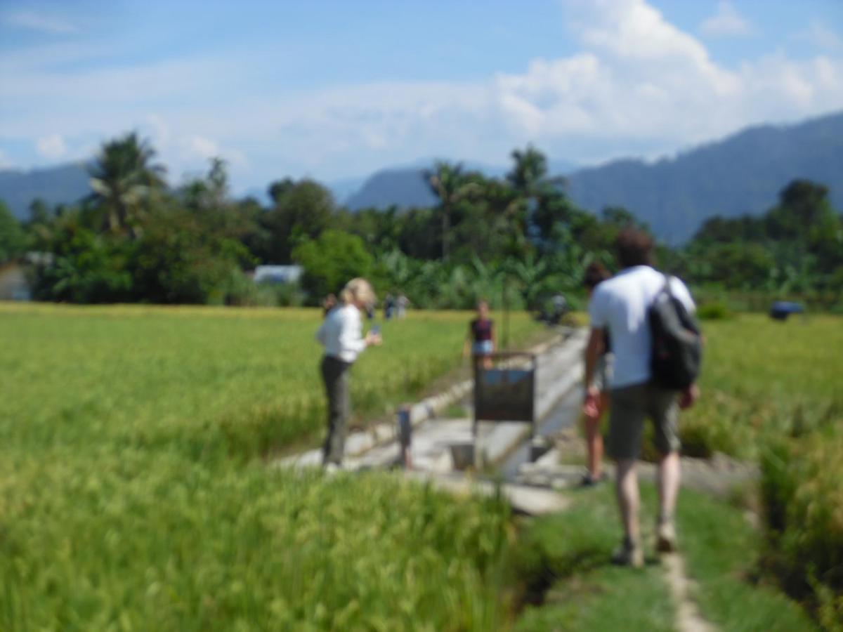 Ambow Homestay Jungle Trekking & Village Tour Bukit Lawang Eksteriør bilde