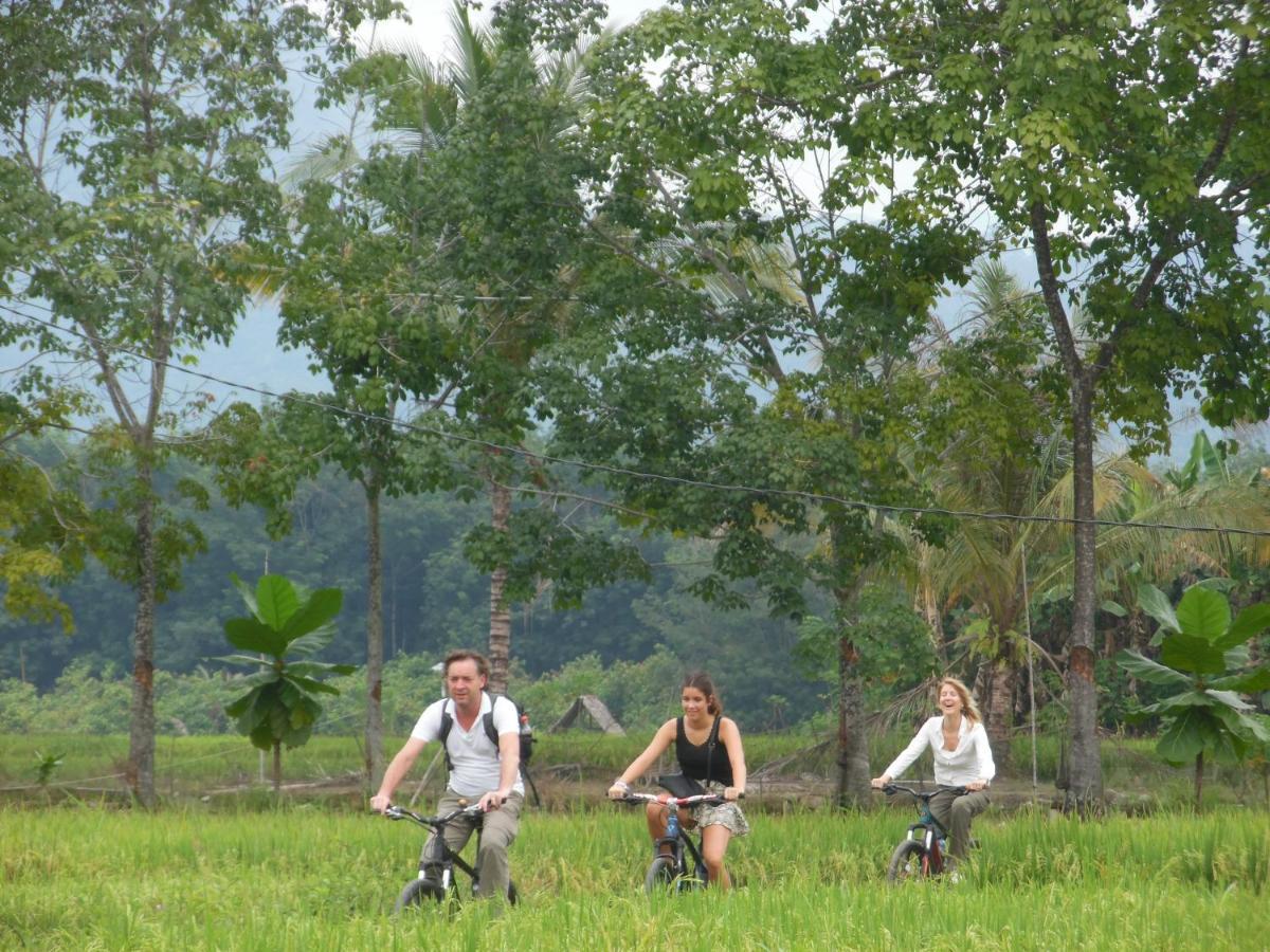 Ambow Homestay Jungle Trekking & Village Tour Bukit Lawang Eksteriør bilde