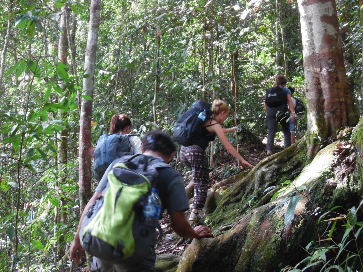 Ambow Homestay Jungle Trekking & Village Tour Bukit Lawang Eksteriør bilde