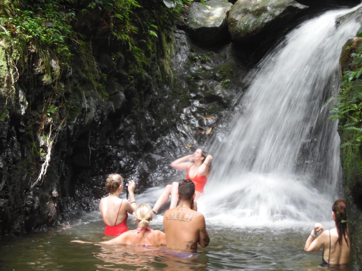 Ambow Homestay Jungle Trekking & Village Tour Bukit Lawang Eksteriør bilde