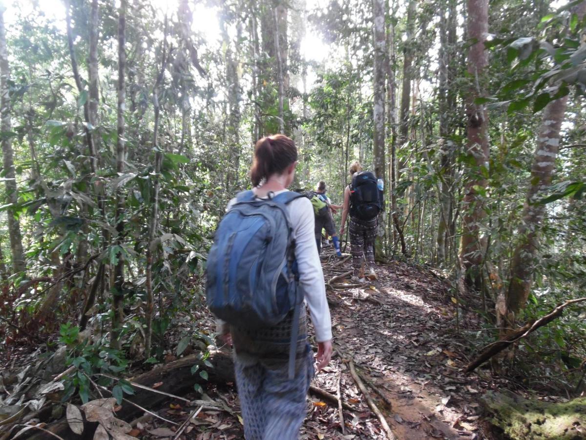 Ambow Homestay Jungle Trekking & Village Tour Bukit Lawang Eksteriør bilde