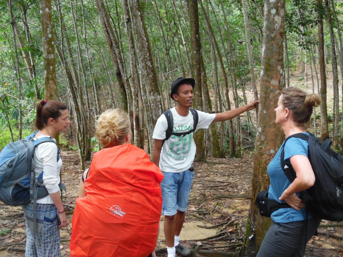 Ambow Homestay Jungle Trekking & Village Tour Bukit Lawang Eksteriør bilde
