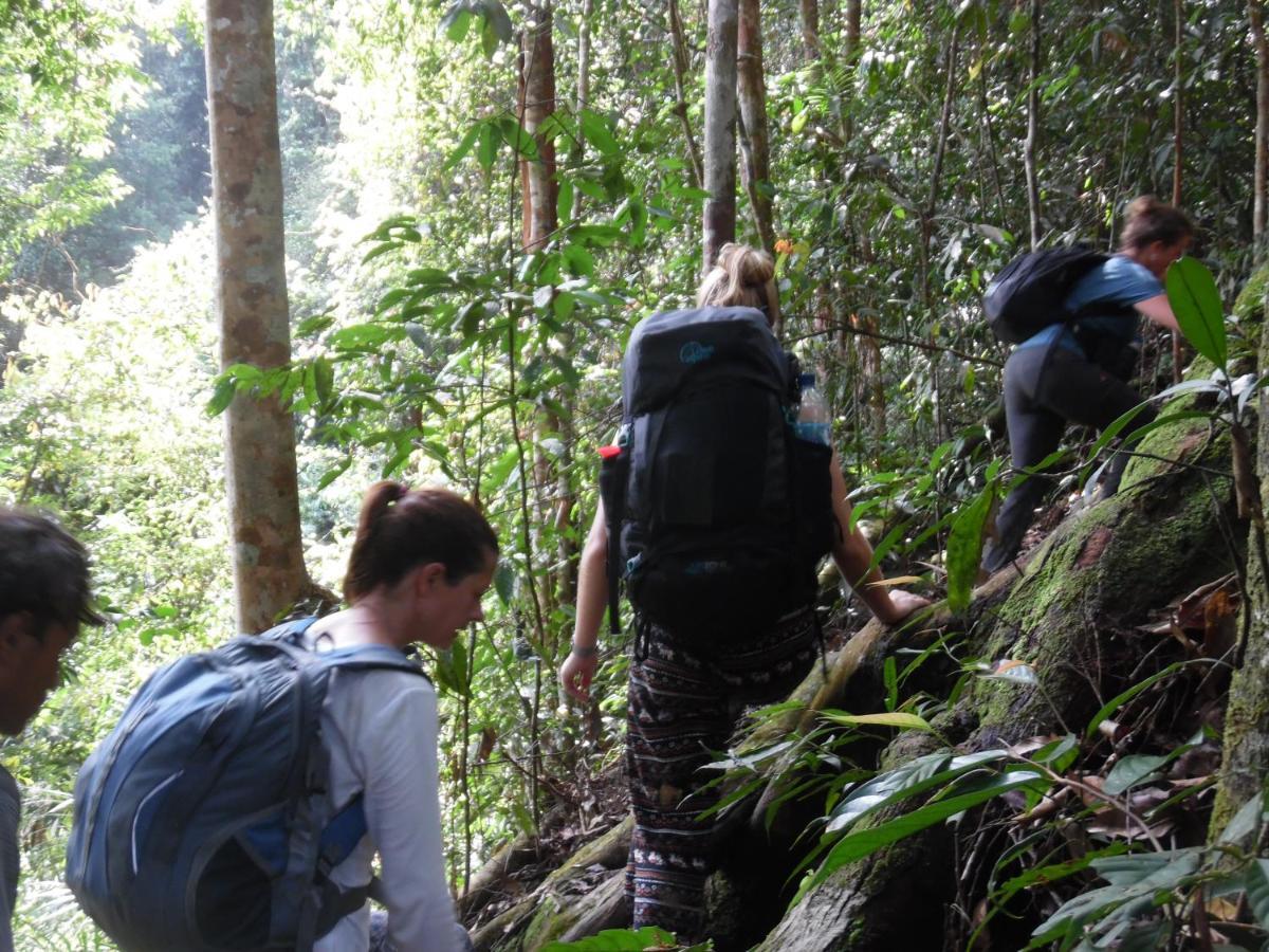 Ambow Homestay Jungle Trekking & Village Tour Bukit Lawang Eksteriør bilde