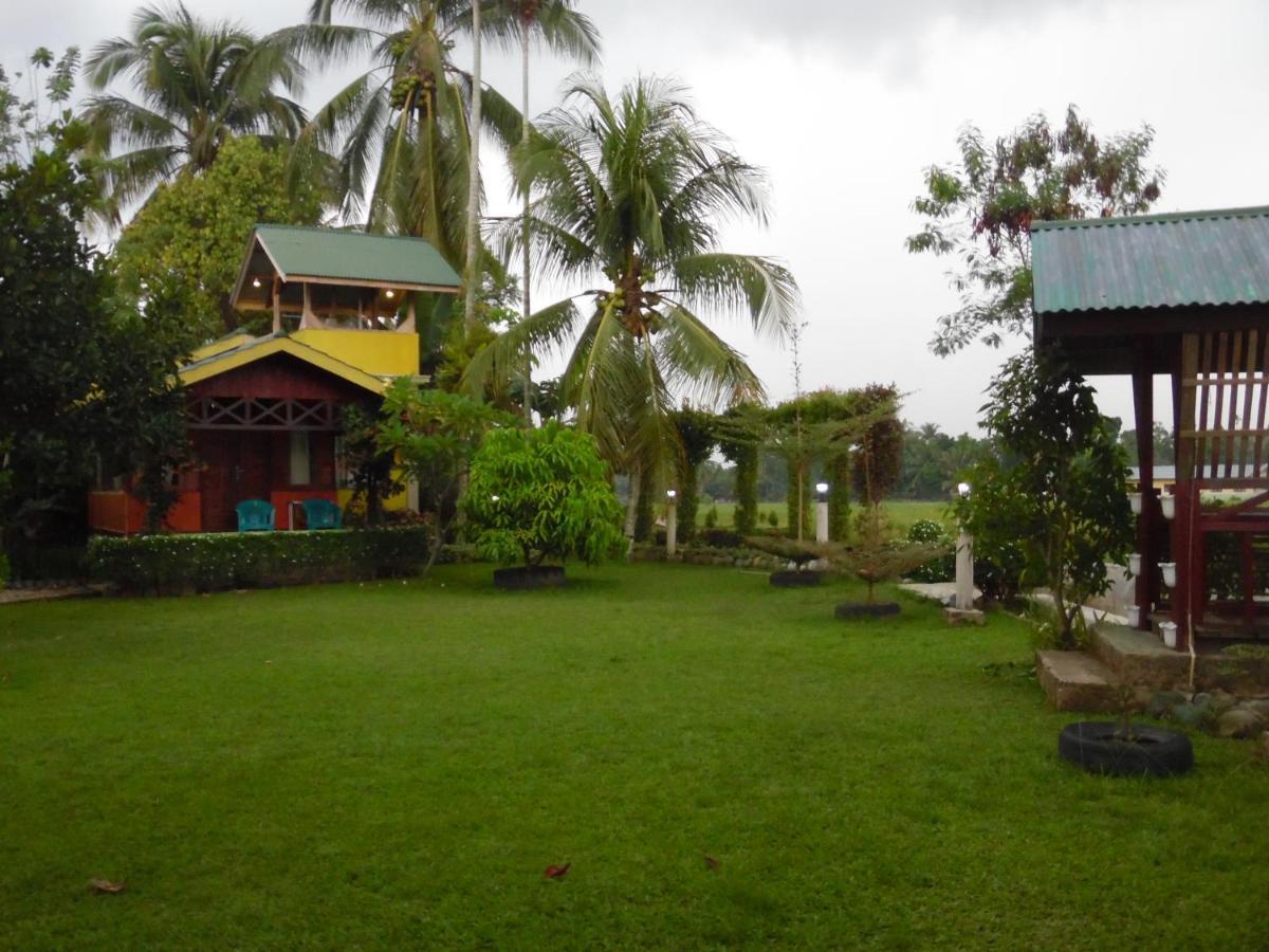Ambow Homestay Jungle Trekking & Village Tour Bukit Lawang Eksteriør bilde