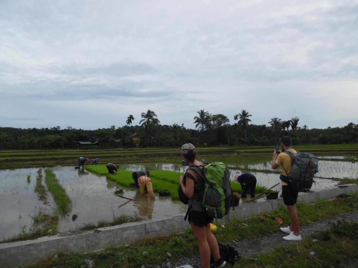 Ambow Homestay Jungle Trekking & Village Tour Bukit Lawang Eksteriør bilde